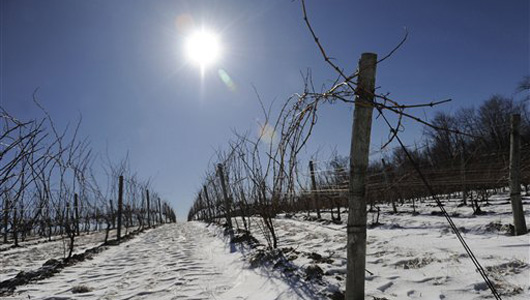 Winter & Wineries